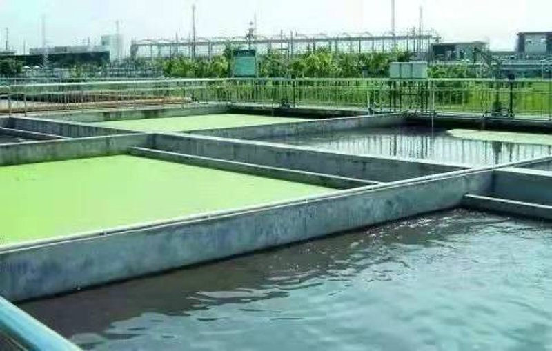 绿色转型：环境工程在现代城市中的角色